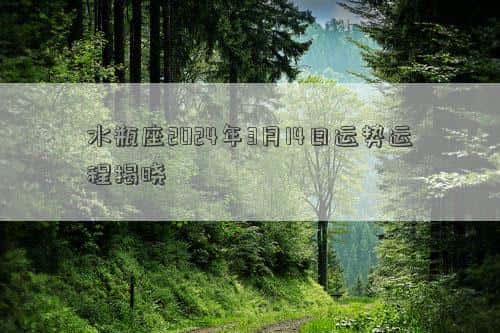 水瓶座2024年的运势，水瓶座2024年3月14日运势运程揭晓