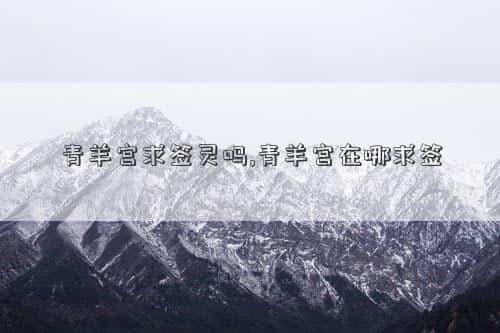 青羊宫的签是什么签，青羊宫求签灵吗,青羊宫在哪求签