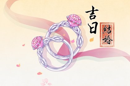 青睐网