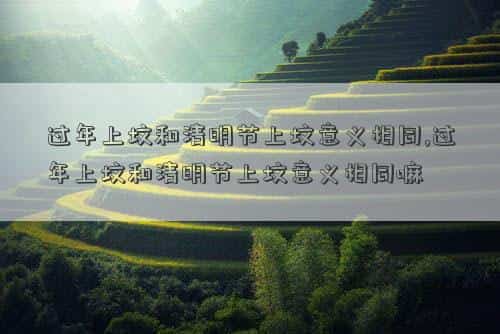清明节上坟还是清明后上坟，过年上坟和清明节上坟意义相同,过年上坟和清明节上坟意义相同嘛