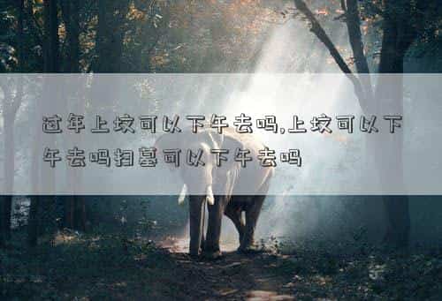 过年上坟下午几点合适，过年上坟可以下午去吗,上坟可以下午去吗扫墓可以下午去吗