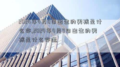 2024年4月8日农历是多少，2024年4月8日出生的男孩是什么命,2024年4月8日出生的男孩是什么命运