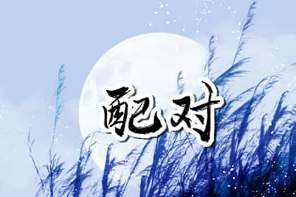 男属龙和女属蛇婚姻相配吗，男龙女蛇夫妻运势如何