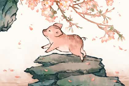 1995年属猪女姻缘在哪年 红鸾星动婚姻幸福，1995年属猪女姻缘在哪年红鸾星动婚姻幸福