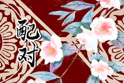 青睐网