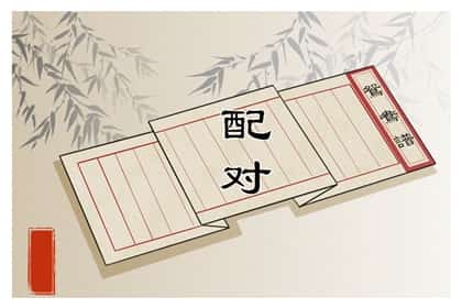 青睐网