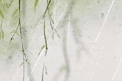 辛金和甲木的关系，辛金更喜欢甲木