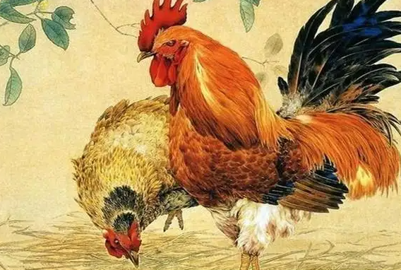 大地如画猜一准确生肖，成语释义落实解释