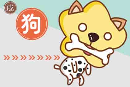 生肖狗和虎婚配如何，生肖狗与生肖猪配不配婚姻生肖配对分析
