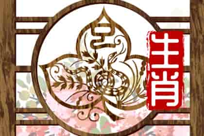 属蛇女和属鸡女的合不合财，生肖蛇女配生肖鸡男婚姻是属于上等婚配
