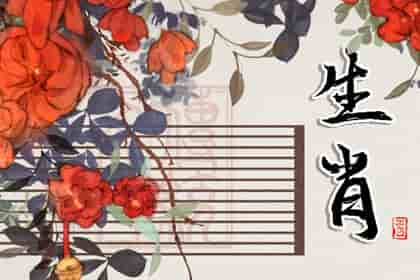 生肖鼠和生肖鼠同柱好吗，生肖鼠和生肖鼠同岁配吗事业运合不合