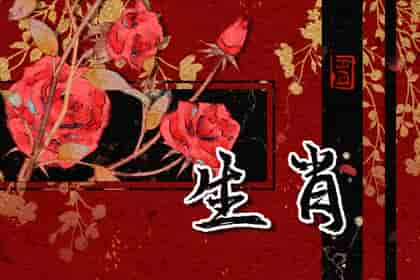 龙配生肖什么时候生比较好，跟龙配的生肖和生肖鸡称之为六合生肖