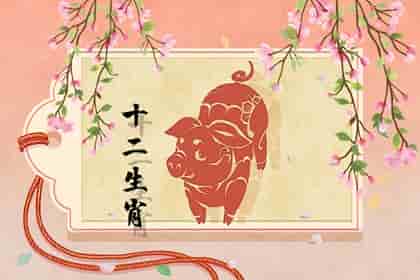 生肖鸡女和生肖鼠男合不合，生肖鸡和生肖猪可以配吗是一对存在较大差异的组合