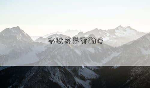 肖年好运网