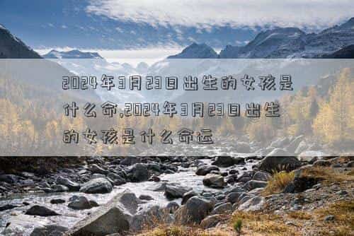 肖年好运网