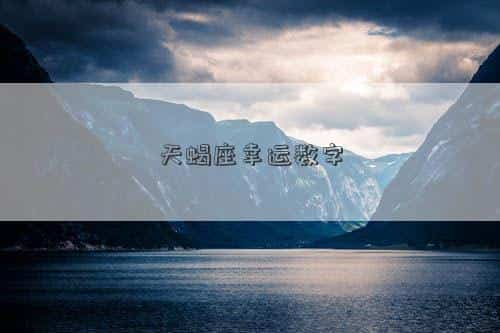 肖年好运网