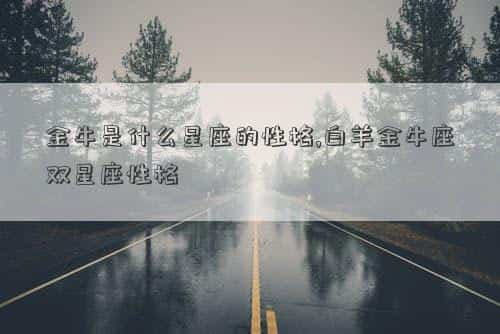 肖年好运网