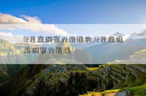 肖年好运网