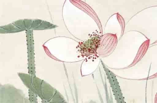 癸卯流年遇桃花好吗  丁火遇癸卯七杀会怎样
