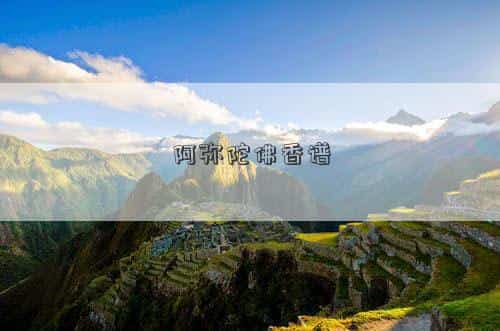 阿弥陀佛香谱二十四法图解大全，阿弥陀佛香谱