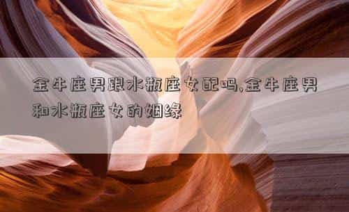 肖年好运网