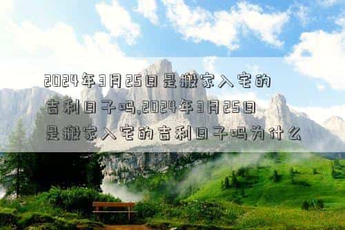 肖年好运网