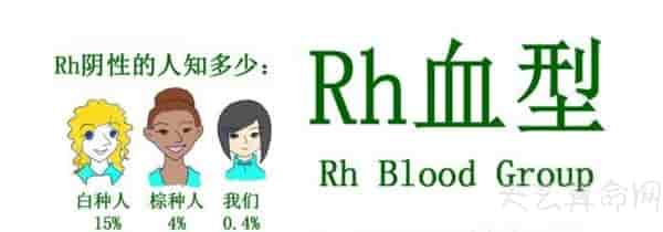 rh血型的人有哪些特征 rh阴性者不能接受rh阳性者血液