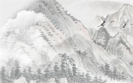 肖年好运网
