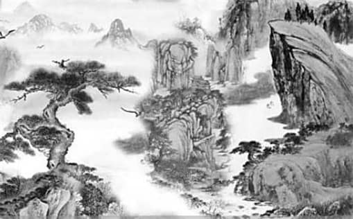 肖年好运网