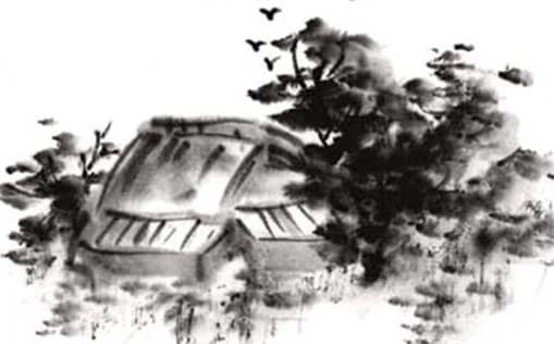 肖年好运网