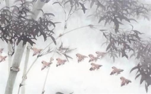 肖年好运网