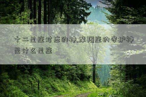 十二星座对应的神奇宝贝，十二星座对应的神,摩羯座的守护神是什么星座