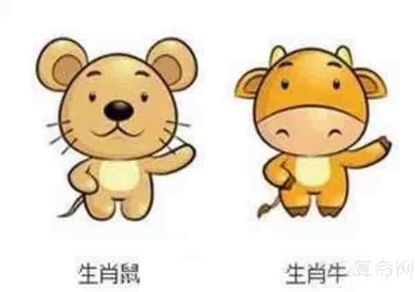 合婚属相八字 属相八字合婚算命