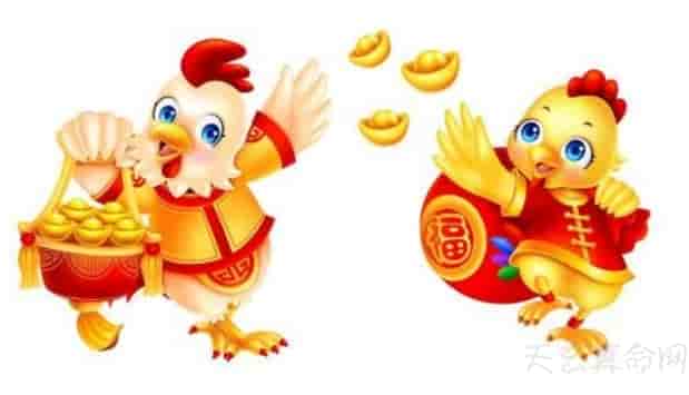 生肖鸡人属相姻缘配对 生肖鸡人姻缘配对宜配龙、蛇、牛大吉
