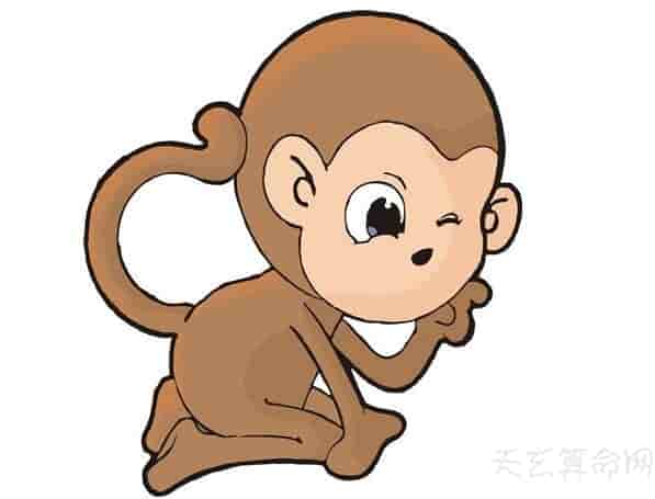 生肖猴和什么生肖配对好 生肖猴的属相婚配表