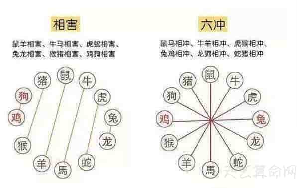 生肖配婚有什么注意事项 生肖婚配不能够相冲、相害、相刑