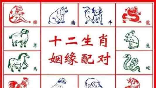 八字合婚和属相合婚哪个更准?，八字合婚和属相合婚哪个准都比较准各自有优势