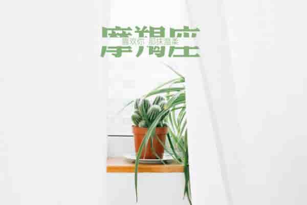 肖年好运网