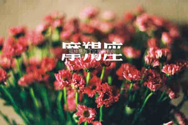 肖年好运网