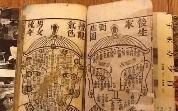 2021年出生是什么生肖 属牛