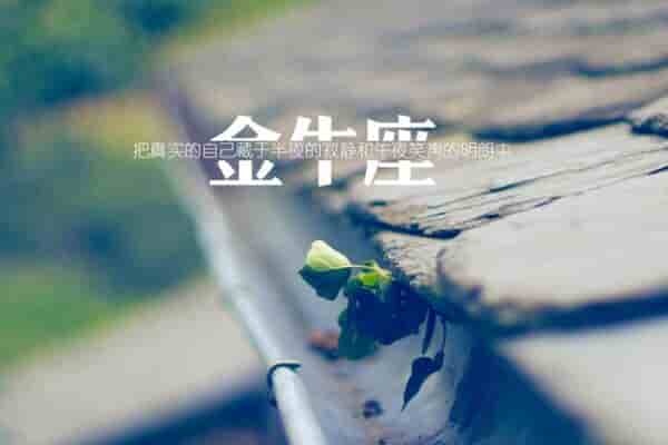 AB血型金牛座配对 AB金牛男女最佳配对解析