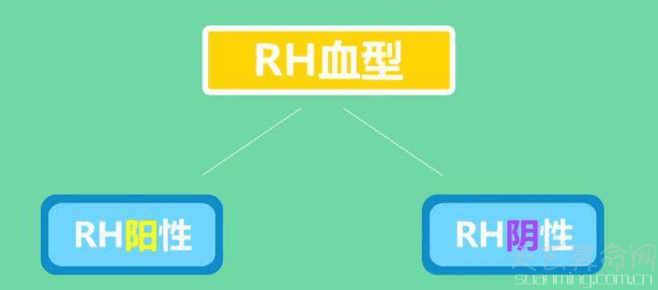 rh血型阳性是什么意思 血型定性为rh阳性就是正常血型