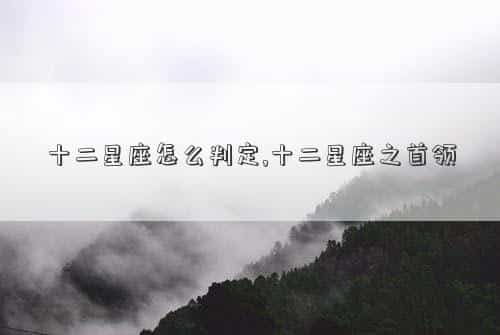肖年好运网
