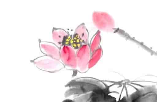 桃花流年一定会遇到正缘吗，流年桃花都是短暂吗流年桃花会长久吗