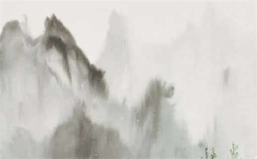 肖年好运网