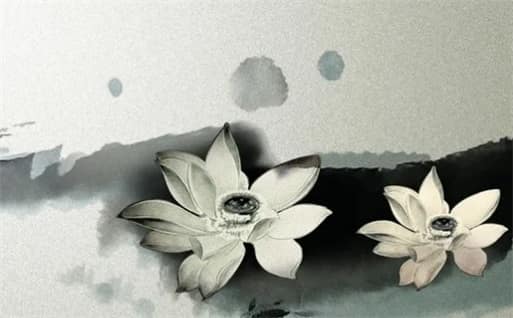 肖年好运网