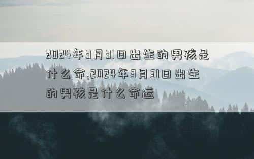2024年3月31日是黄道吉日吗，2024年3月31日出生的男孩是什么命,2024年3月31日出生的男孩是什么命运