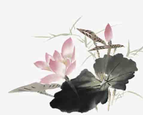 八字婚配表,白马犯青牛,鼠羊相逢一旦休
