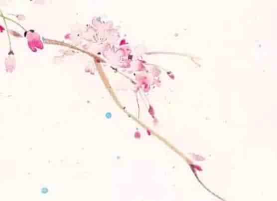 八字婚姻算命八字准不准，八字婚姻算命八字算个人感情婚姻如何