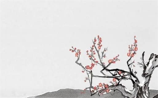 肖年好运网